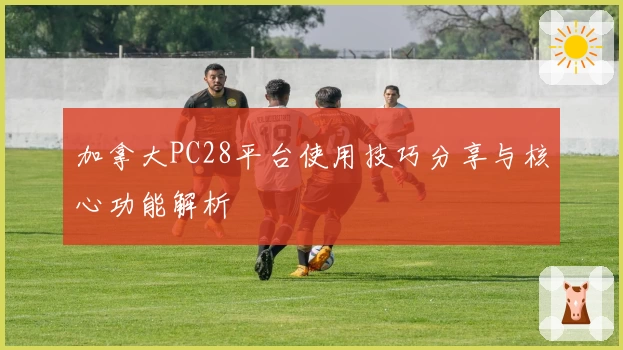 加拿大PC28平台使用技巧分享与核心功能解析