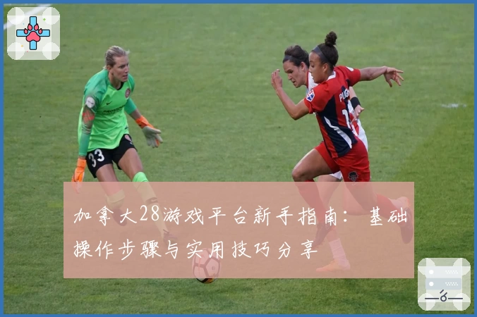 加拿大28游戏平台新手指南：基础操作步骤与实用技巧分享