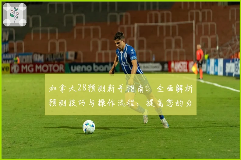 加拿大28预测新手指南：全面解析预测技巧与操作流程，提高您的分析效率