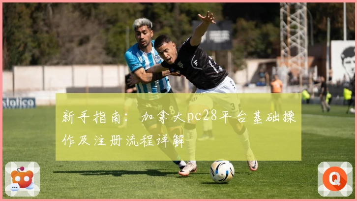 新手指南：加拿大pc28平台基础操作及注册流程详解