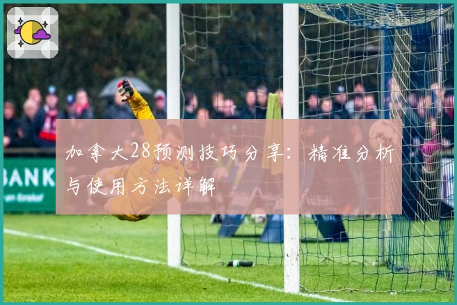 加拿大28预测技巧分享:精准分析与使用方法详解
