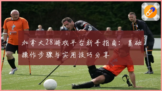加拿大28游戏平台新手指南：基础操作步骤与实用技巧分享