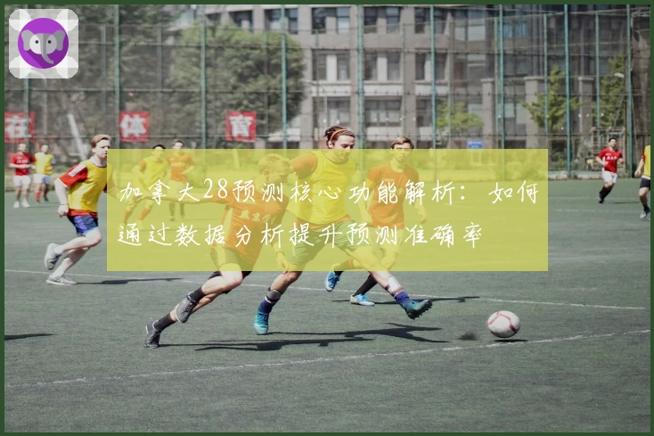 加拿大28预测核心功能解析：如何通过数据分析提升预测准确率