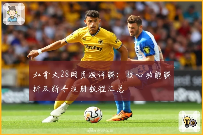 加拿大28网页版详解：核心功能解析及新手注册教程汇总
