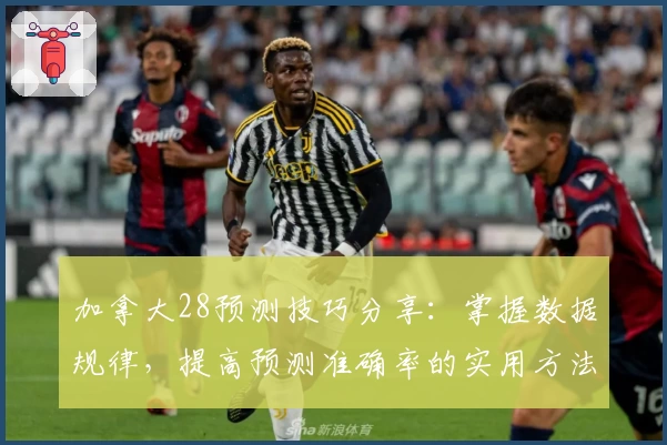 加拿大28预测技巧分享：掌握数据规律，提高预测准确率的实用方法