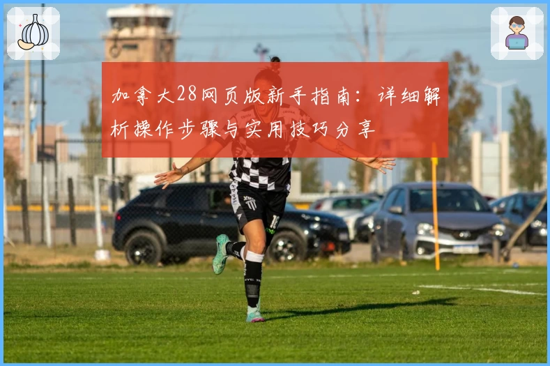 加拿大28网页版新手指南：详细解析操作步骤与实用技巧分享