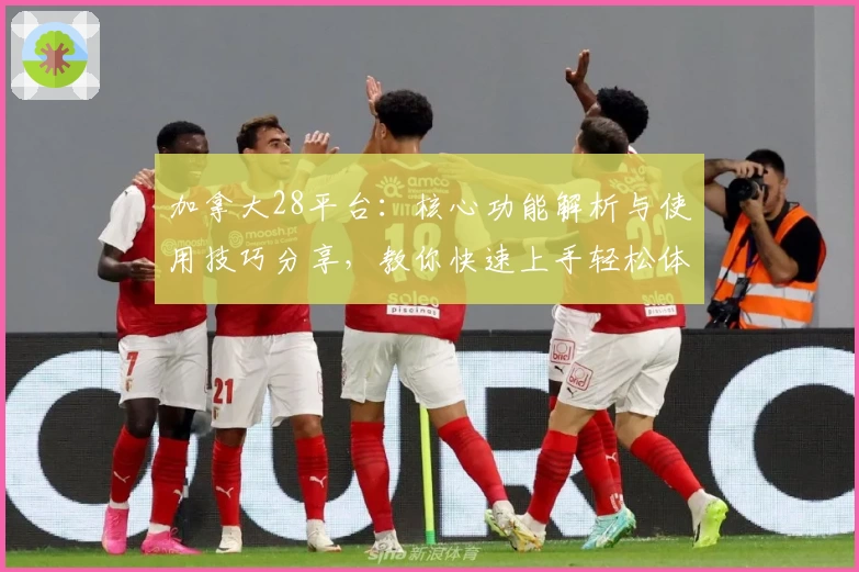 加拿大28平台：核心功能解析与使用技巧分享，教你快速上手轻松体验