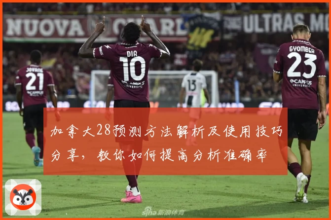 加拿大28预测方法解析及使用技巧分享，教你如何提高分析准确率
