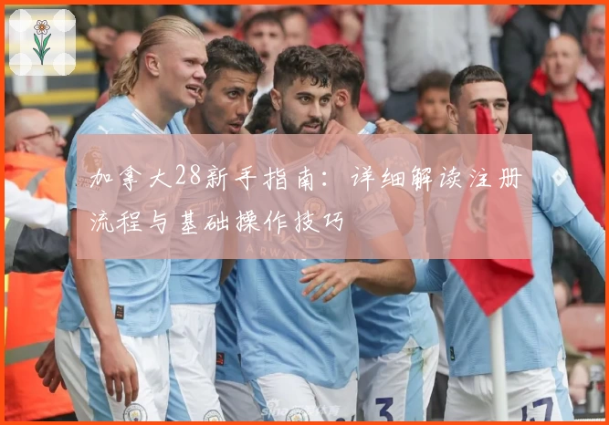 加拿大28新手指南：详细解读注册流程与基础操作技巧